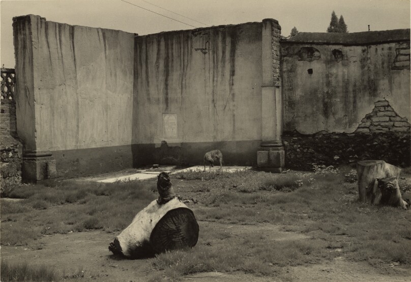 [The Dog's House]/[La Casa del Perro]