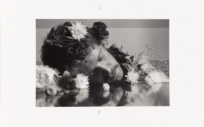 The Dream of Flowers