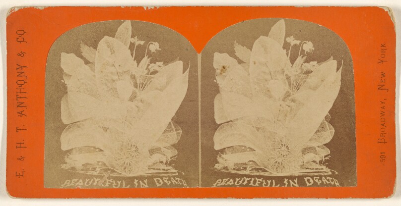 Beautiful in Death