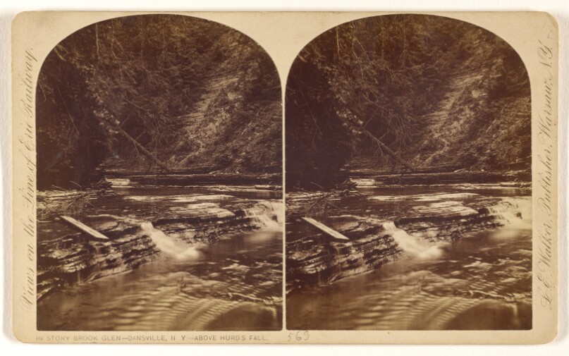 In Stony Brook Glen - Dansville, N.Y. - Above Hurd's Fall.