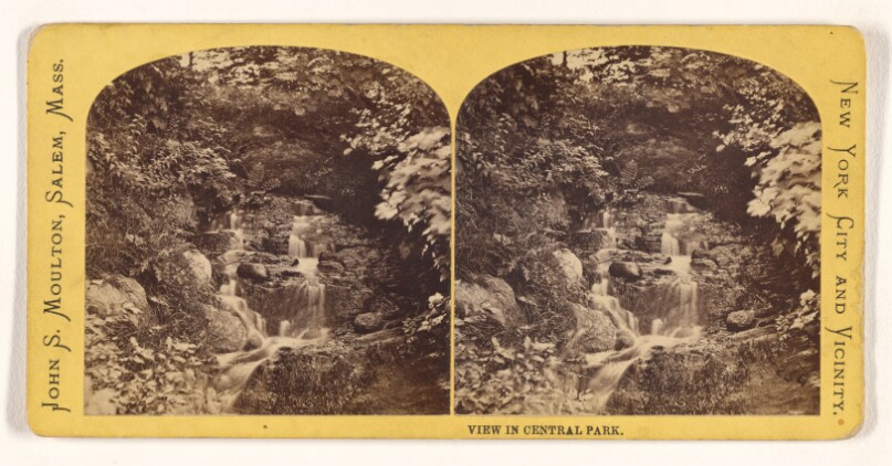 View in Central Park. [N.Y.]