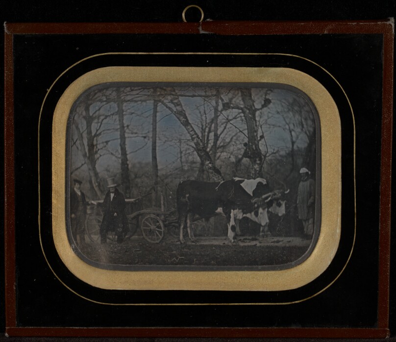 [Jean-Gabriel Eynard with two servants and an ox-drawn wagon]