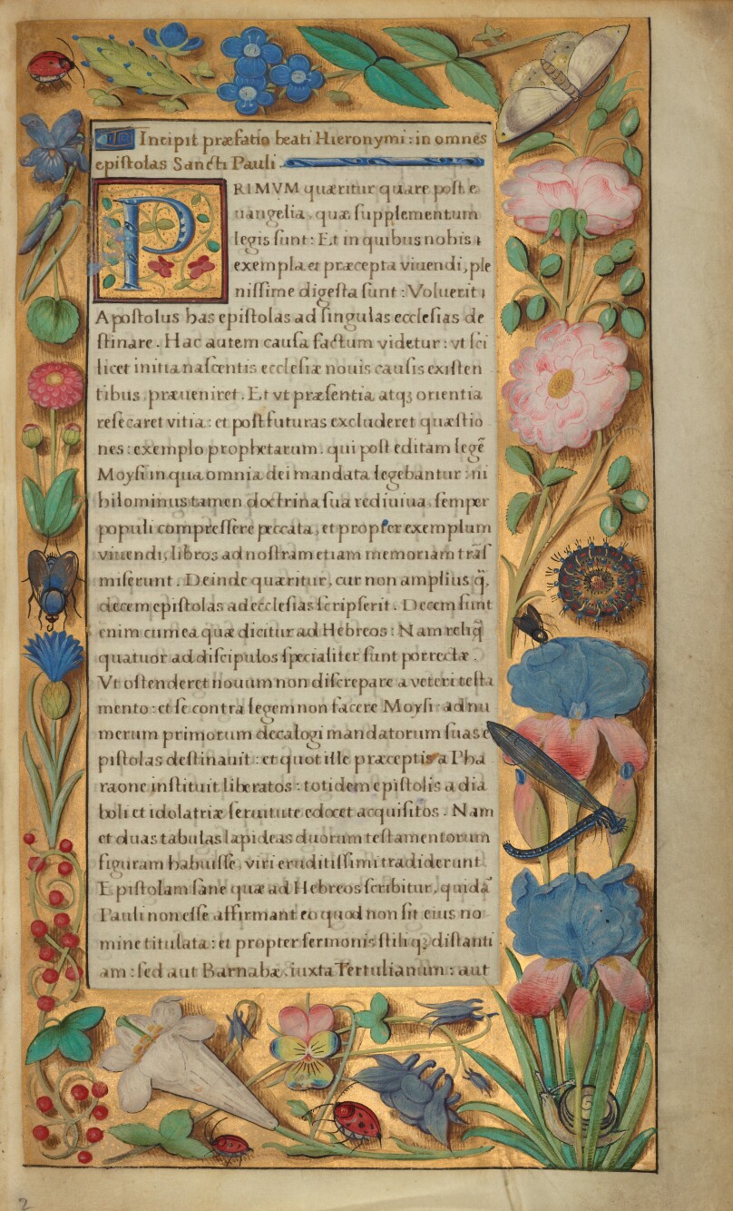 Decorated Text Page