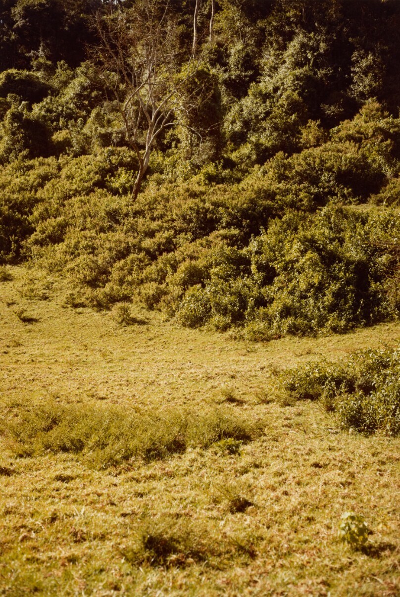 [Landscape: Dirt Track]