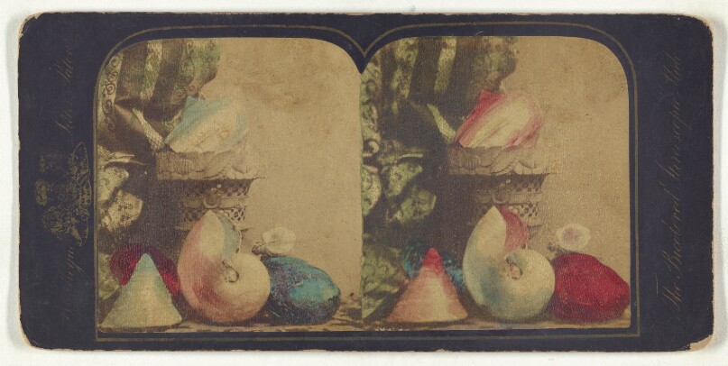 [Shells]