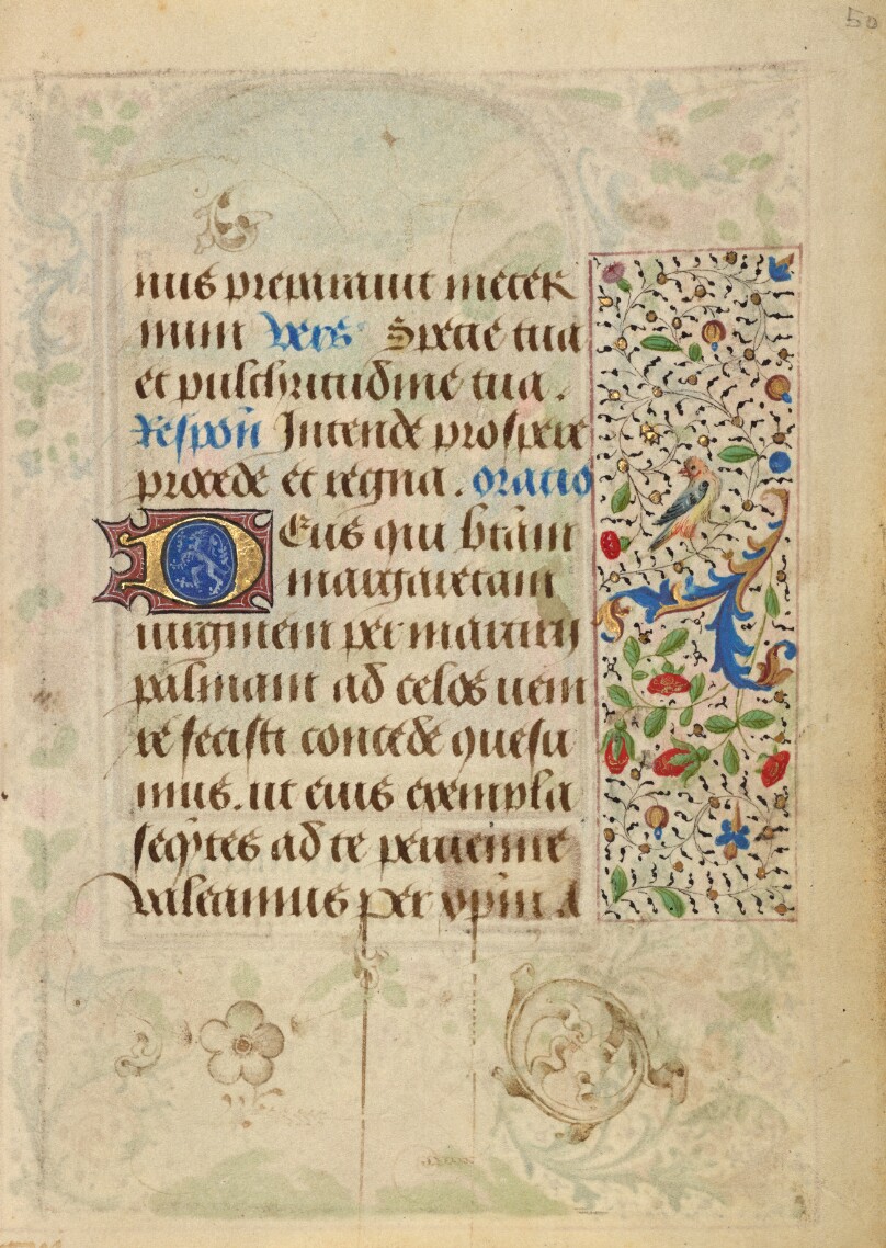 Decorated Text Page