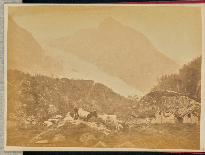 Hardanger. Bondhusbræen