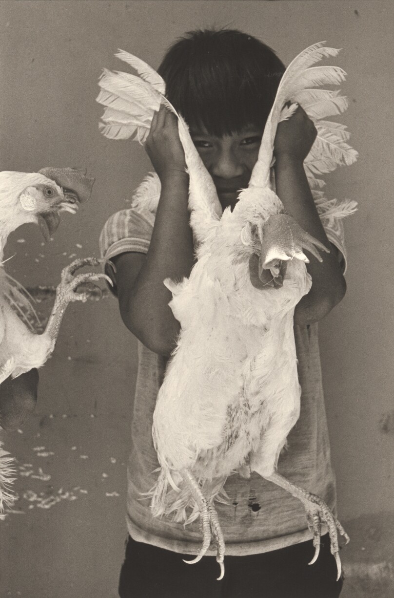 El Gallo, Juchitán, Oaxaca