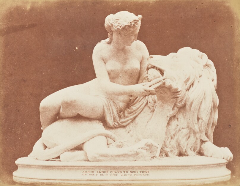 Lion in Love