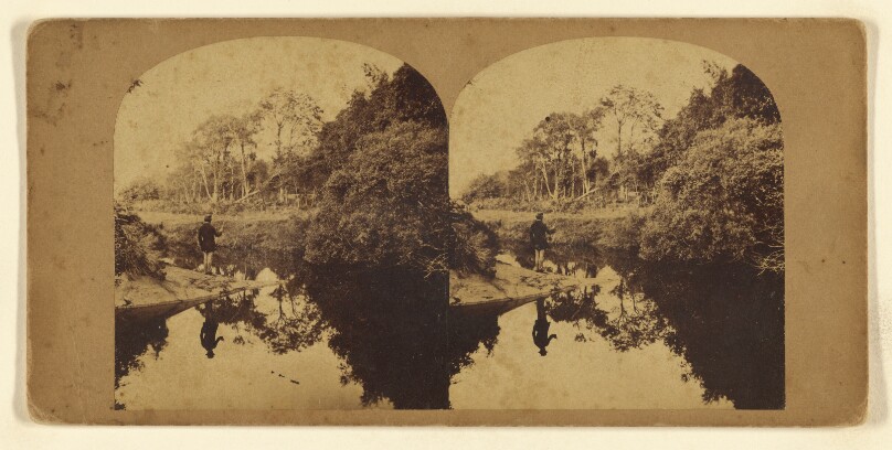 A Quiet Moment - a View in Killarney.