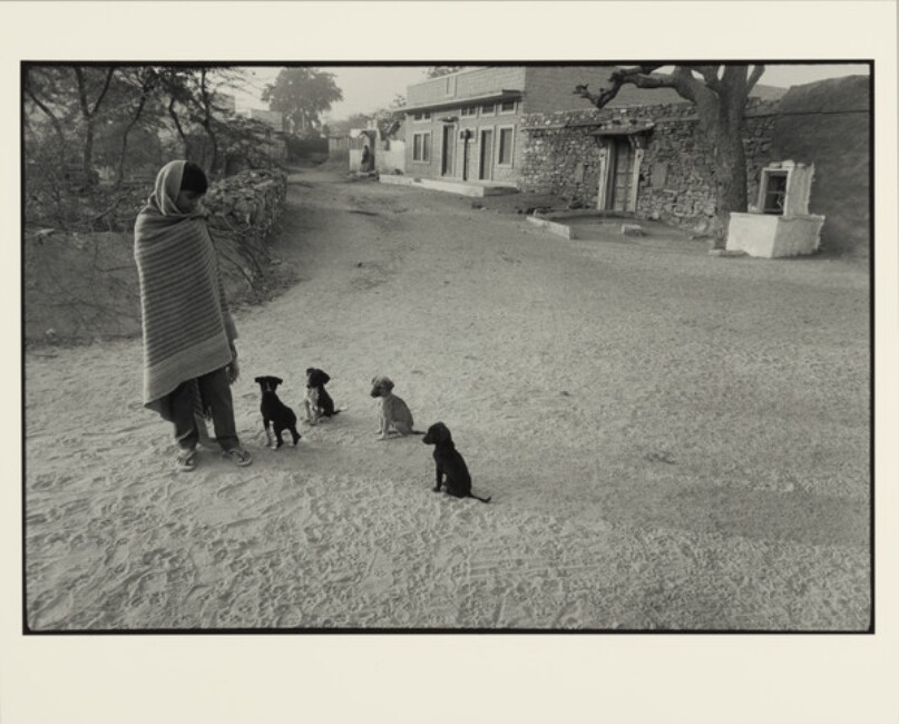 Person with Dogs on Street, Jodhpur & Jaisalmer, India
