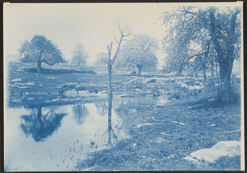 [Landscape with Pond]