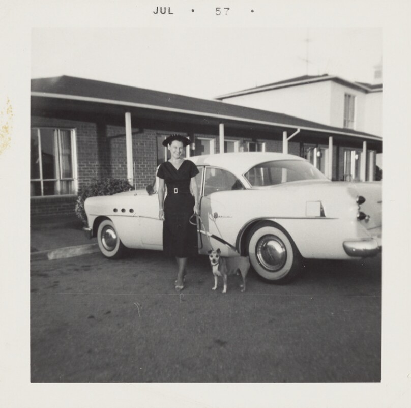 Woman, dog and car