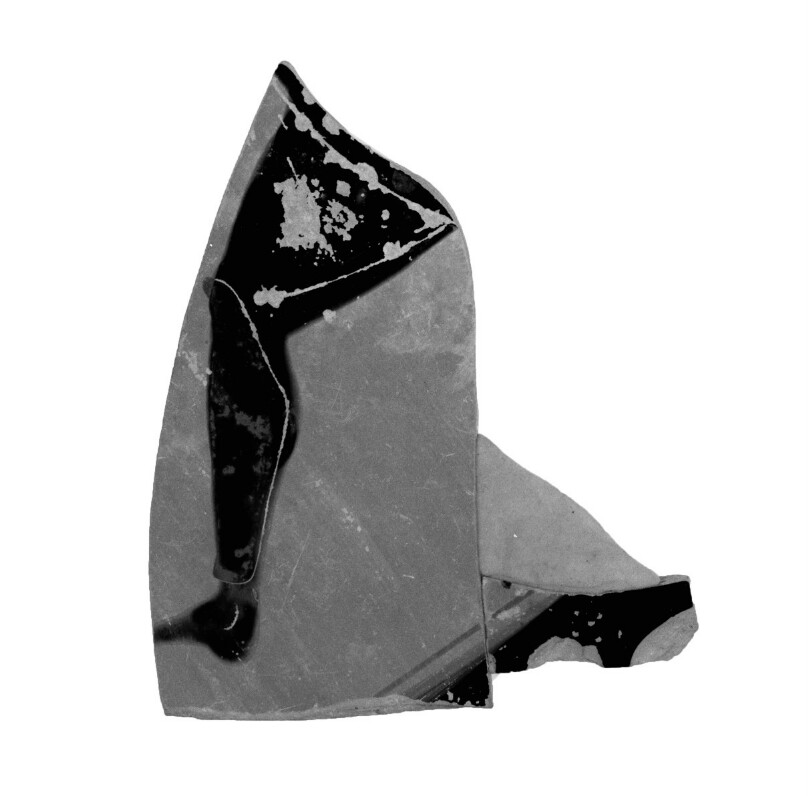 Attic Panathenaic Amphora Fragment (comprised of 2 joined fragments)