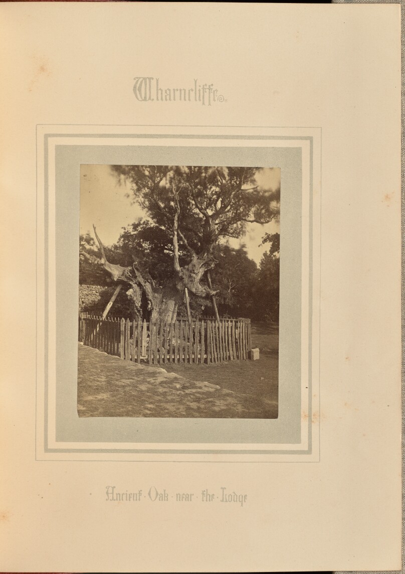 Theophilus Smith