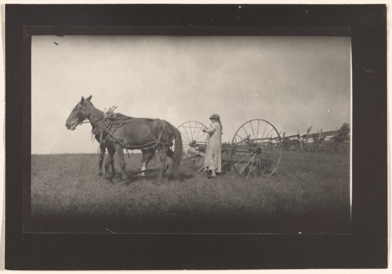 [Farm Scene, Massachusetts]