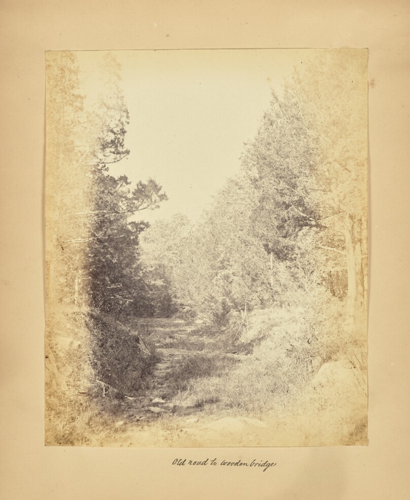 Old Road to Wooden Bridge