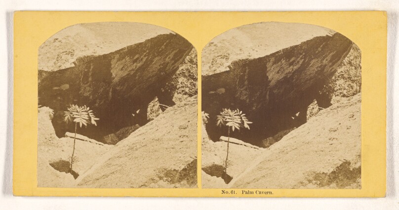 Palm Cavern.