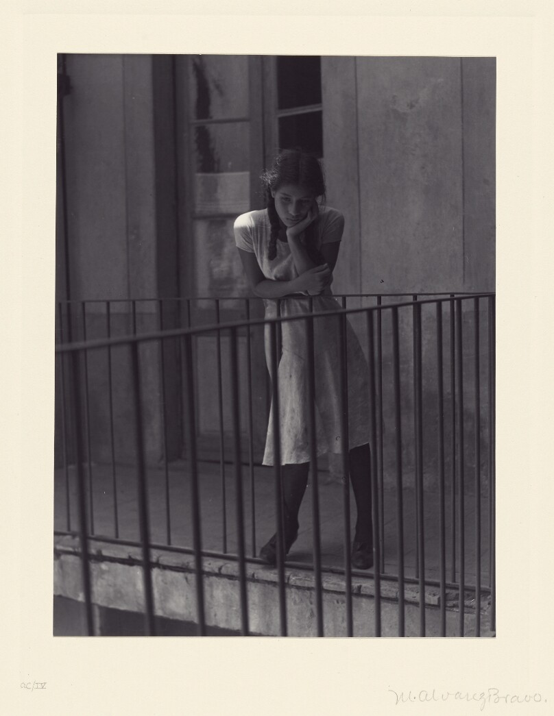 Day Dreaming/[El Ensueño]