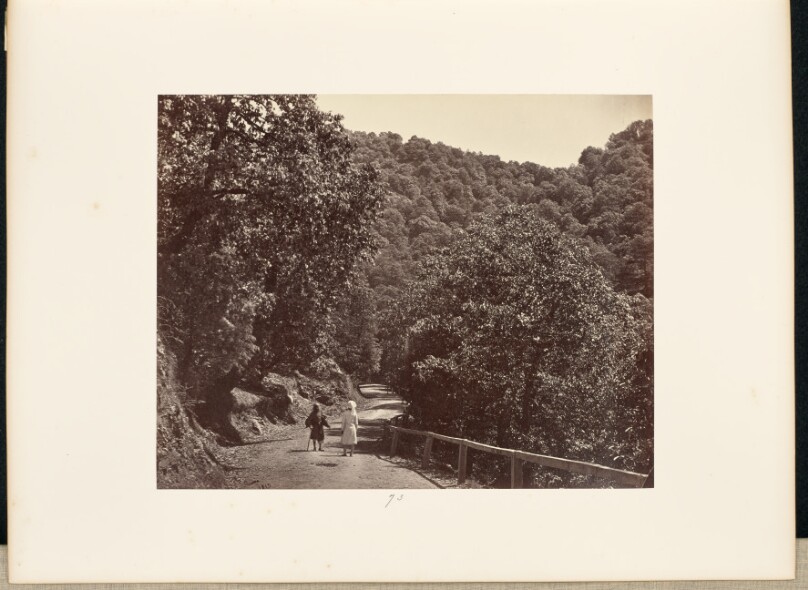 Simla; A Shady Ride round [sic] Jakko