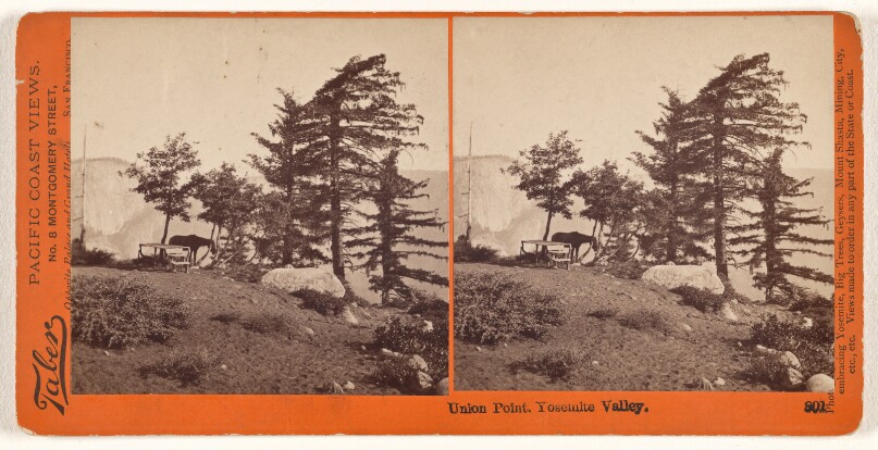 Union Point, Yosemite Valley.