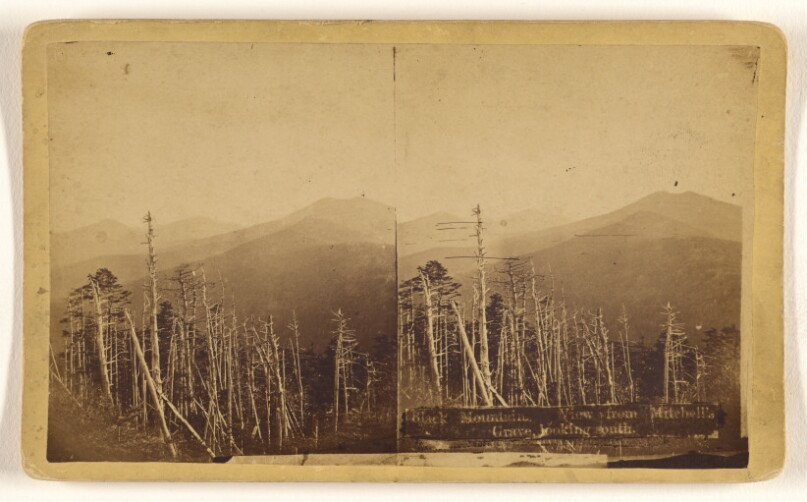 Black Mountain. View from Mitchell's Grave, looking south. [Asheville, North Carolina]