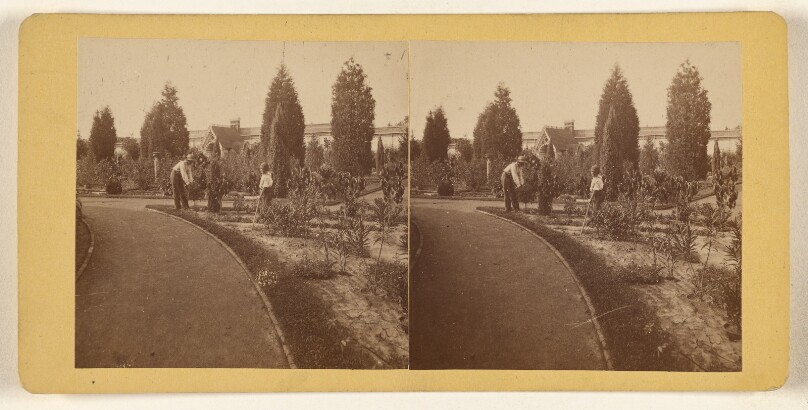 Shaw's Garden. North End. [St. Louis, Missouri]
