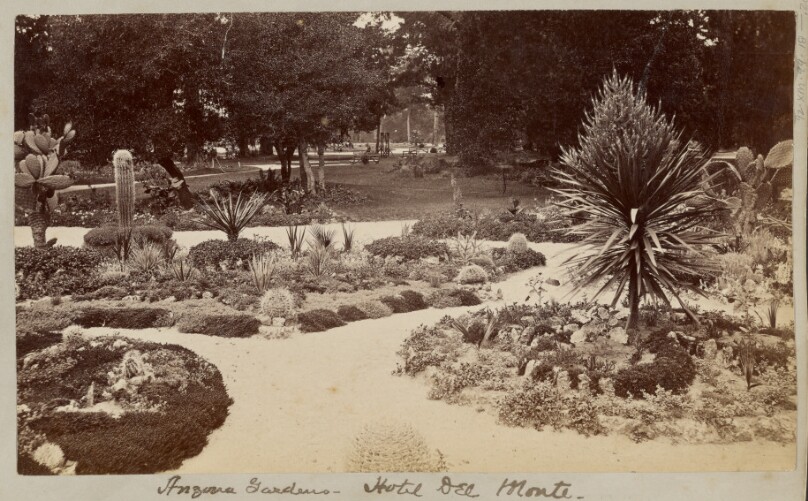 Arzona [sic] Gardens - Hotel Del Monte