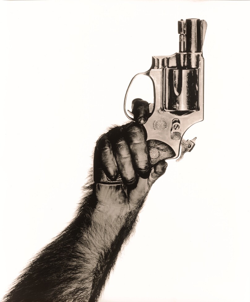 Monkey with Gun, New York City, 1992