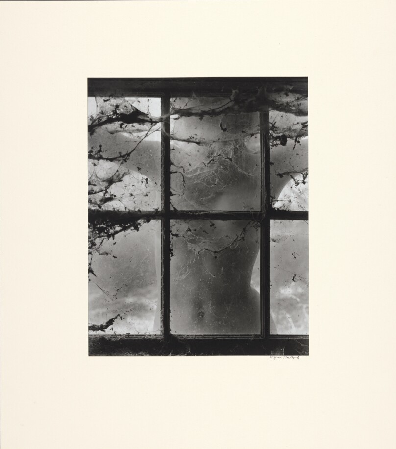 Nude behind Cobwebbed Window