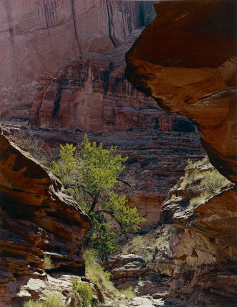 Coyote Gulch, Escalante River, Glen Canyon, Utah