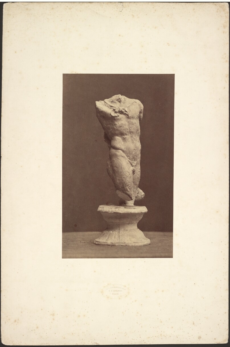 [Cast of a Sculpted Torso]