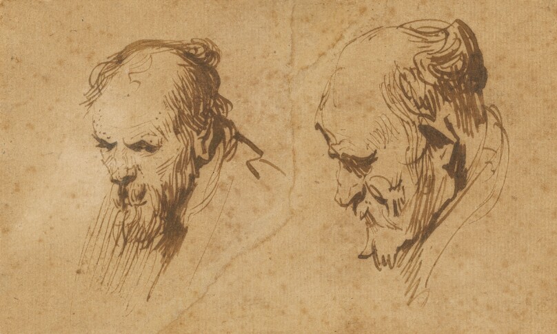 Two Studies of the Head of an Old Man