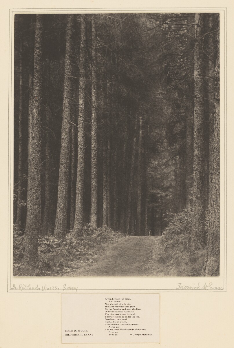 [In Redlands Woods, Surrey]