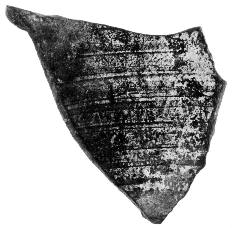 Fragmentary Spiral Amphora