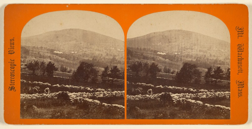 Thomas Lewis