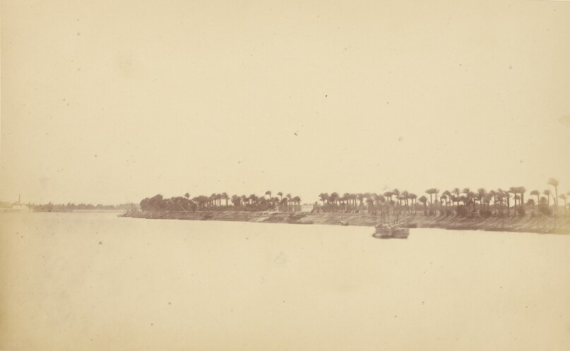 [Banks of the Nile with Palm Trees and Boats]