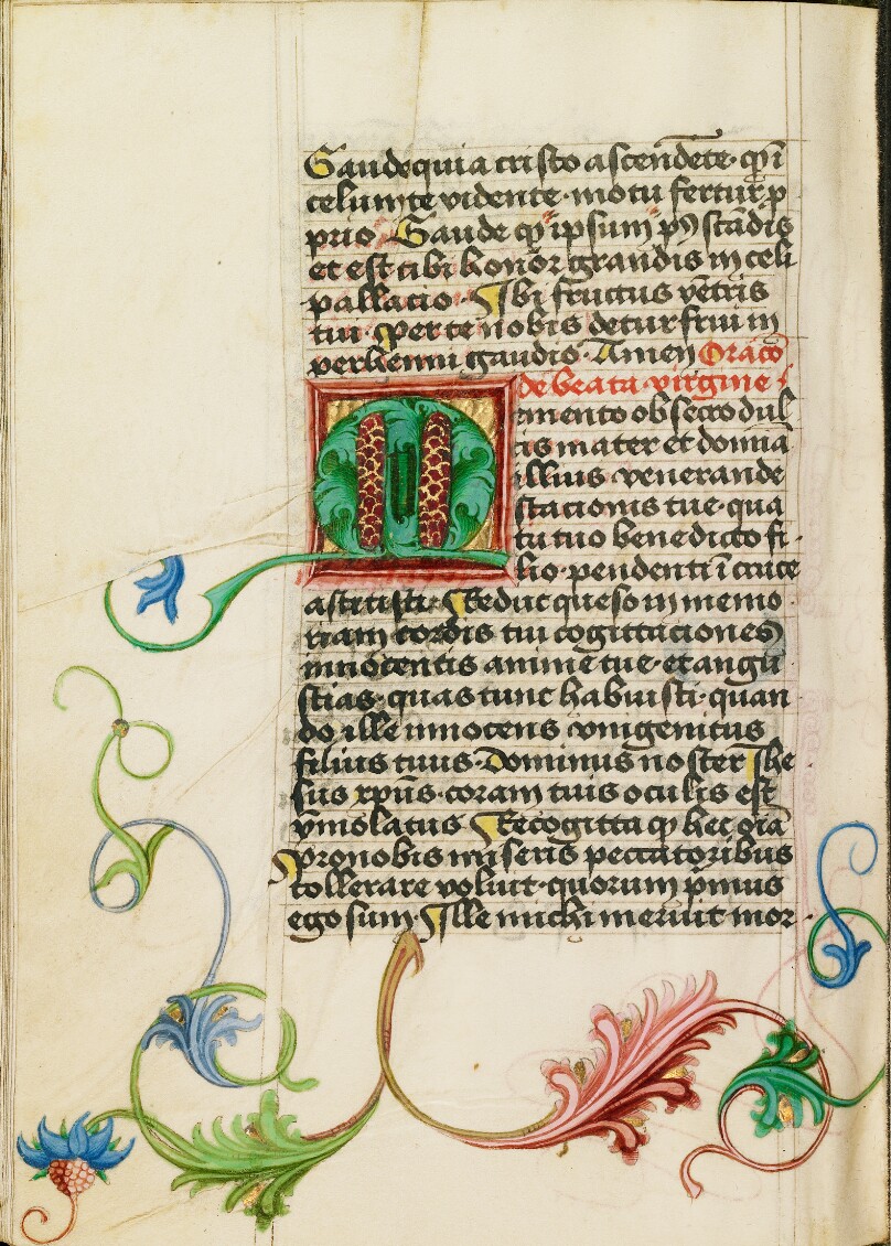 Decorated Initial M