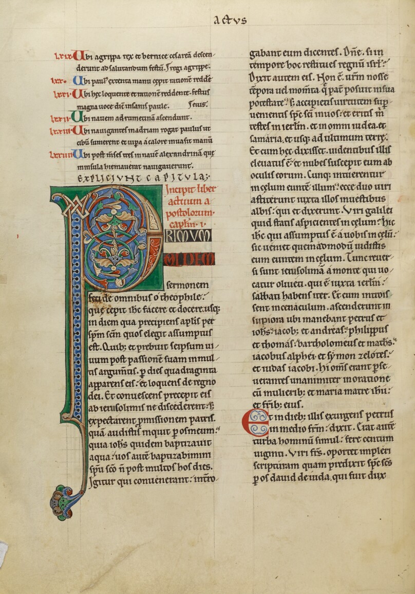 Decorated Initial P