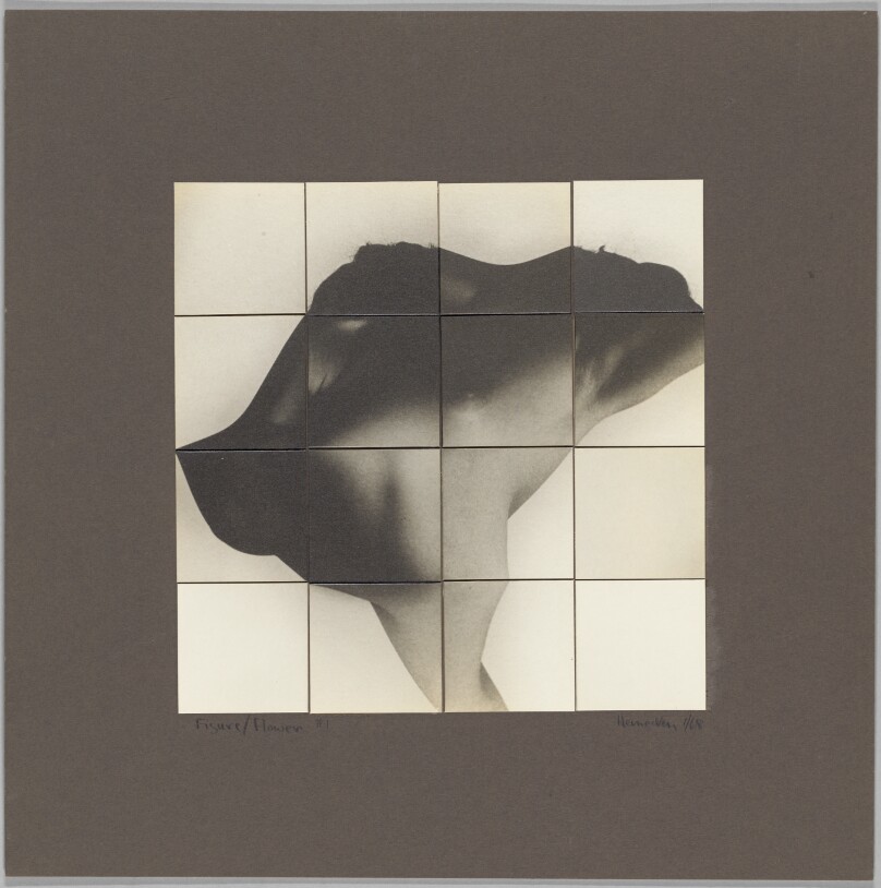 Figure/Flower #1
