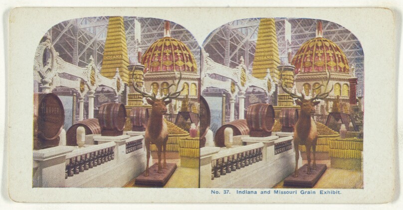 Indiana and Missouri Grain Exhibit.