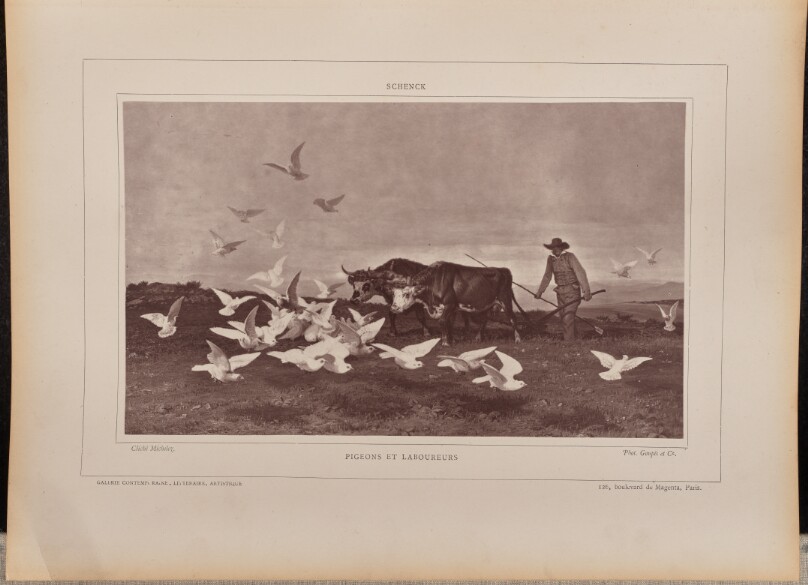 Pigeons et Laboureurs