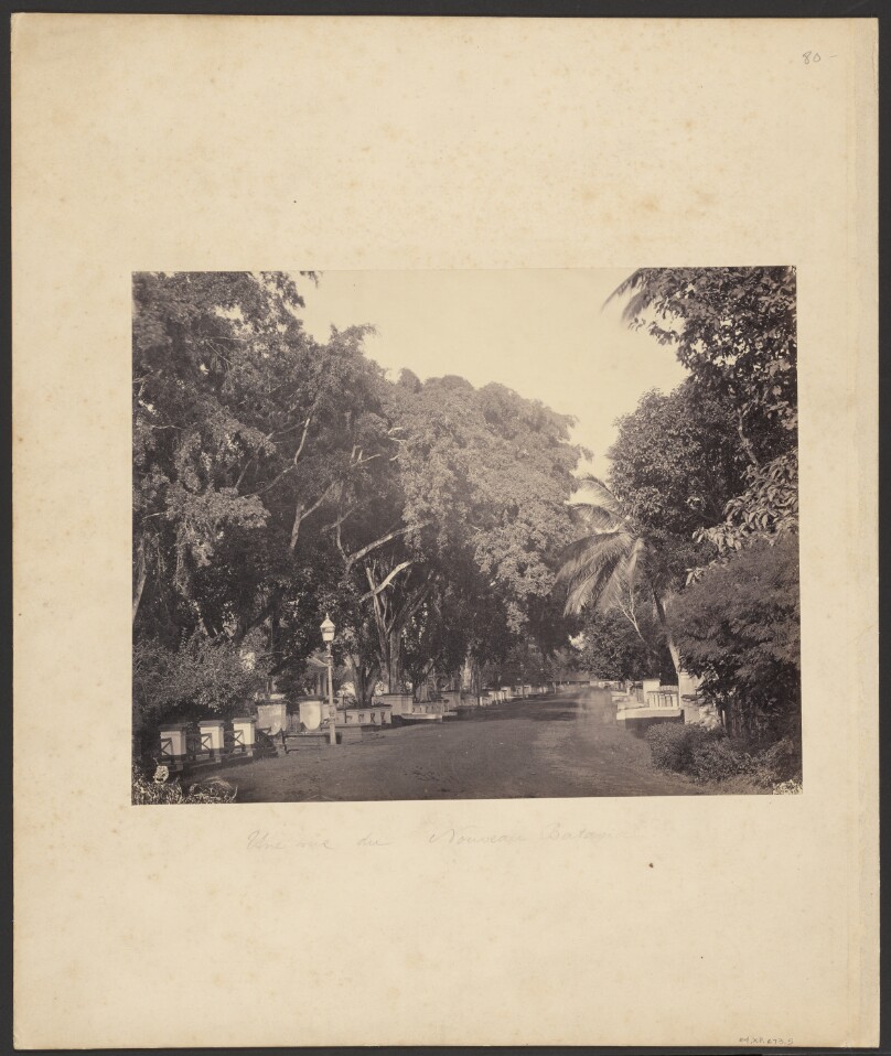 [Une rue du Nouveau Batavia]