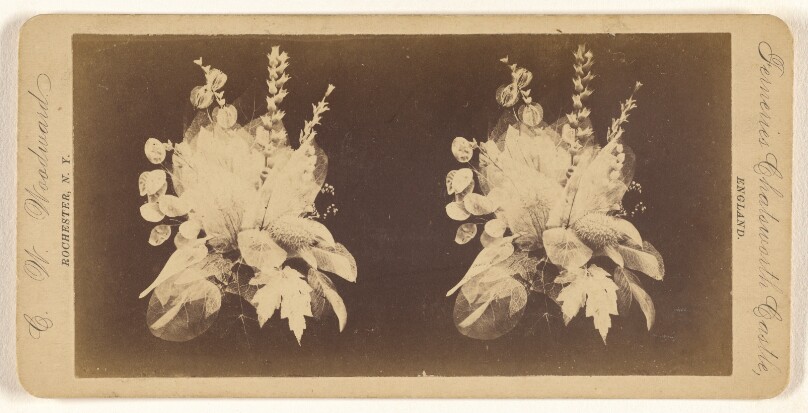 [Flower arrangement from Fernerries Chatsworth Castle, England]