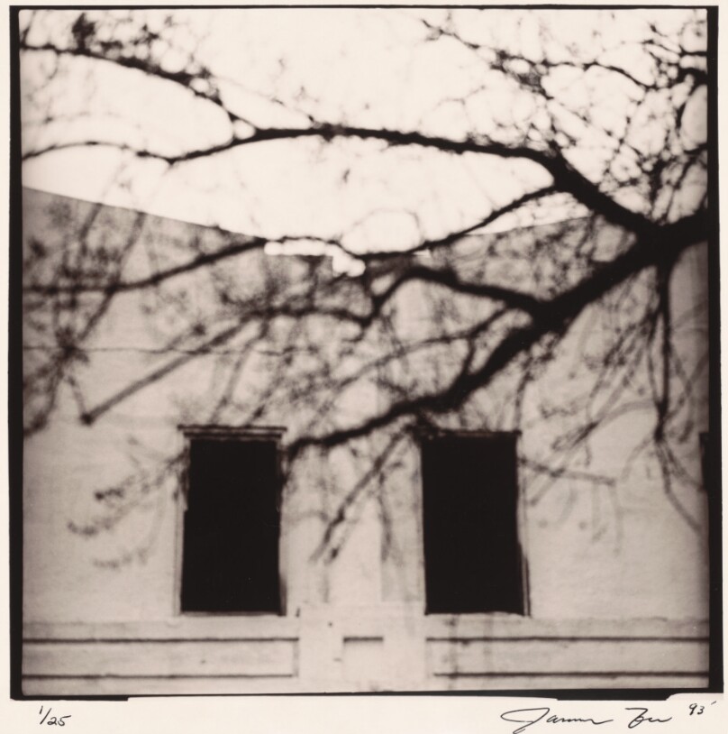 Untitled CT 09