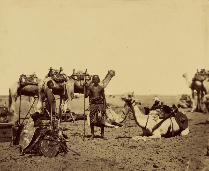 Compagnons de Speeke et Grant revenus avec eux au Caire du voyage decouverte des sources du Nil.