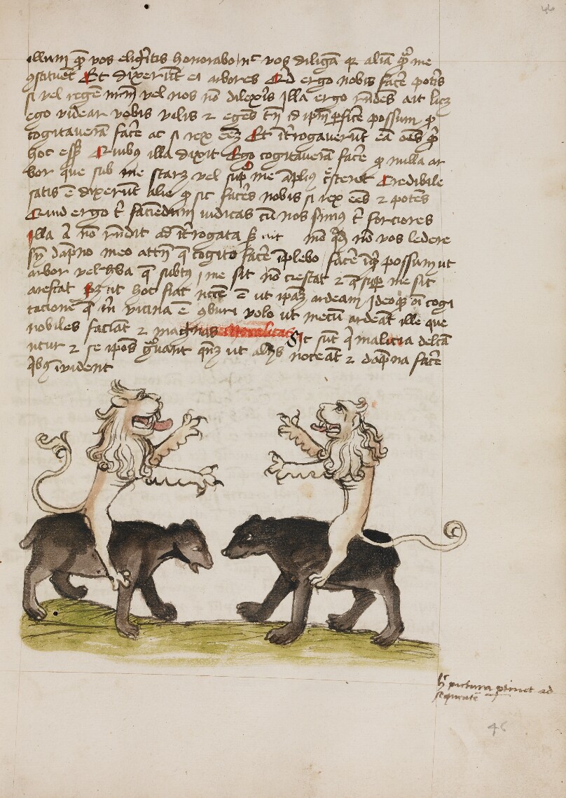 Two Lions Sitting on the Backs of Two Bears