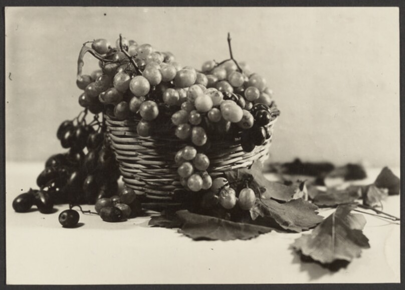 [Grapes in basket]