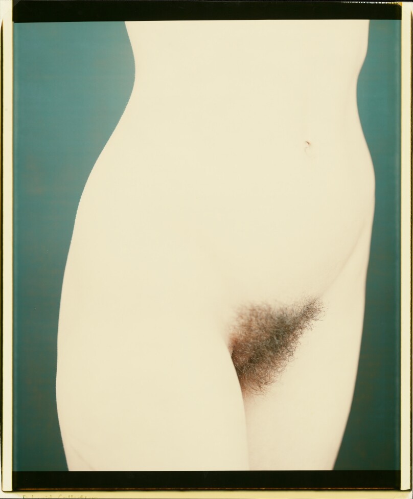Selected Nude Study of Lisa
