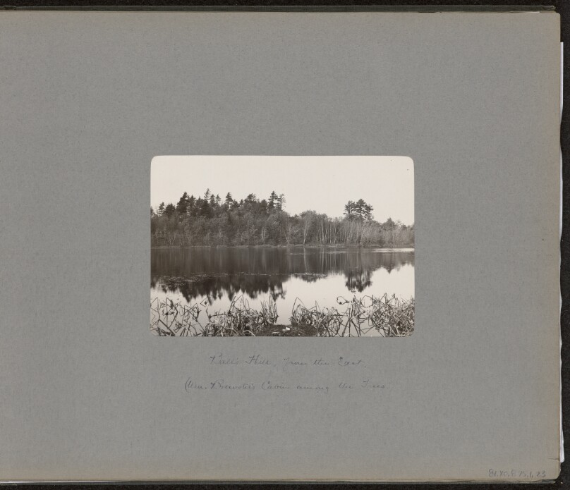 [View of Ball's Hill - East]